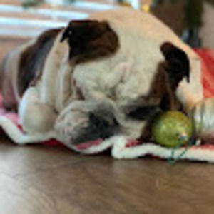 Meet your Posher, Jayden